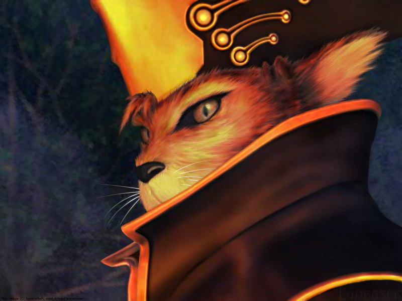 Illustration for article titled The Ultimate Guide to Evil Cats in Science Fiction and Fantasy